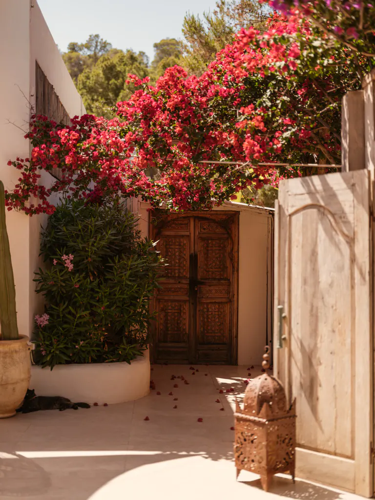 Entrada de Elements Ibiza con puerta de madera y buganvilla en flor