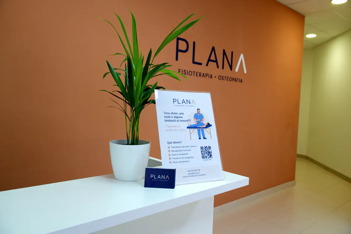 Mostrador con folleto y planta delante del logotipo de PLANA